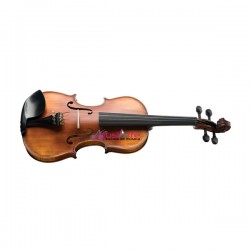 Curso de Violino