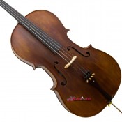 Curso de Violoncelo (1)