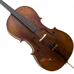 Curso de Violoncelo